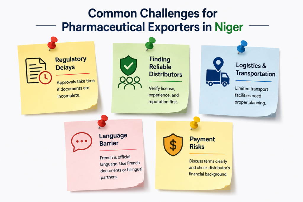 Common Challenges For Pharmaceutical Exporters In Niger