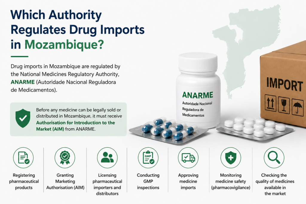 Which Authority Regulates Drug Imports In Mozambique